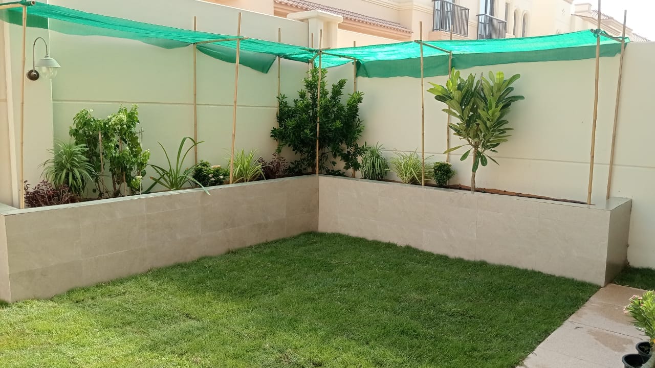 WhatsApp Image 2026-09-19 at 17.52.20